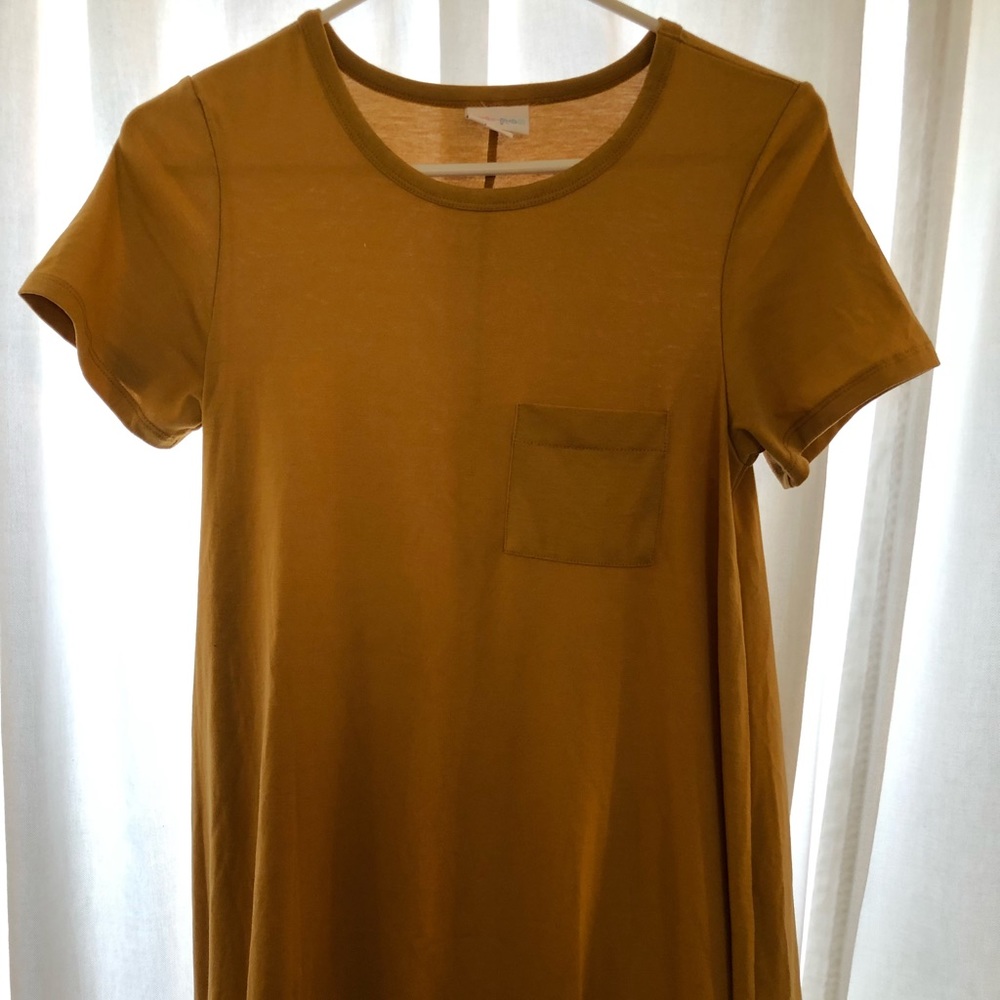 LulaRoe Carly Dress